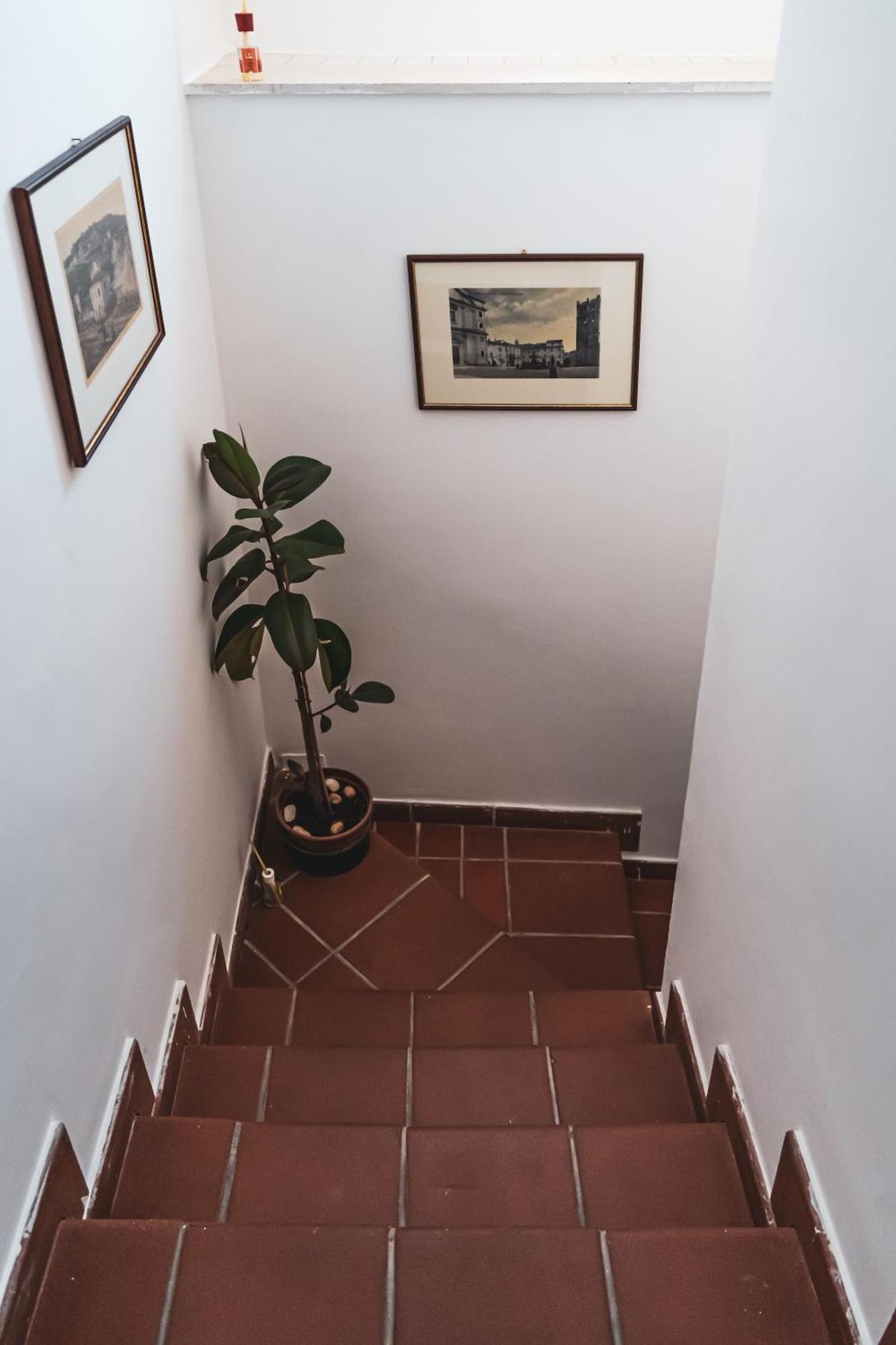 Casina Carina - Intero Appartamento Indipendente Alatri Екстериор снимка